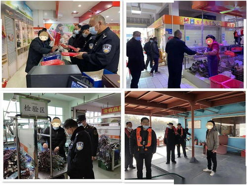 筑牢節(jié)日防線 英德開展打擊應節(jié)商品走私統(tǒng)一檢查行動，并借力體驗式拓展活動深化團隊協(xié)作與策略規(guī)劃