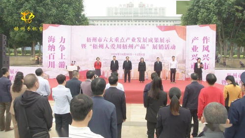 梧州六大重點(diǎn)產(chǎn)業(yè)成果閃耀，本土品牌展銷與文化交流共繪發(fā)展新篇